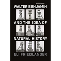 Walter Benjamin and the Idea of Natural History