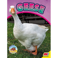 Geese