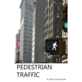 Pedestrian Traffic