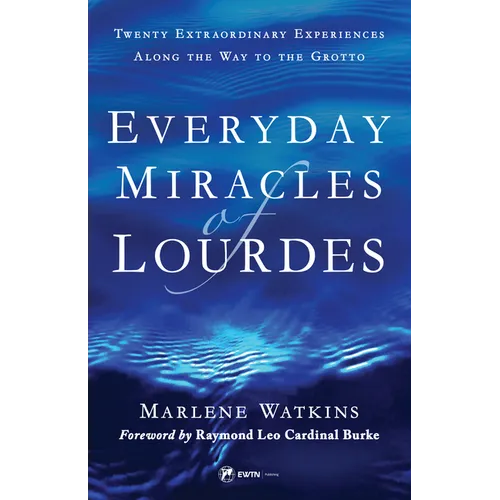 Everyday Miracles of Lourdes 2nd Edition: Twenty Extraordinary Experiences Along the Way to the Grotto
