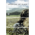 Sweeping Up Glass