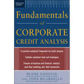 Standard & Poor's Fundamentals of Corporate Credit Analysis (Pb)