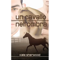 Un cavallo nell'ombra