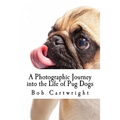 A Photographic Journey into the Life of Pug Dogs