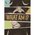 What Am I?: English Edition
