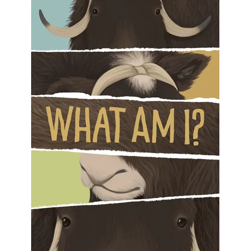 What Am I?: English Edition