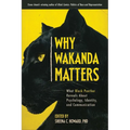 Why Wakanda Matters: What Black Panther Reveals about Psychology, Identity, and Communication