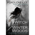 The Witch of the Winter Woods: Large Print: A Paranormal Christmas Tale