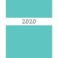 Guía de Balance para el 2020