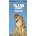 Texas Wildlife: An Introduction to Familiar Species