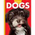 Curious about Dogs