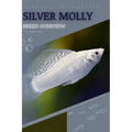 Silver Molly: From Novice to Expert. Comprehensive Aquarium Fish Guide