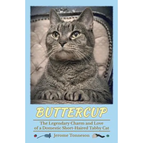 Buttercup - The Legendary Charm and Love of a Domestic Short-Haired Tabby Cat