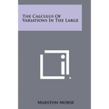 The Calculus Of Variations In The Large