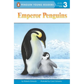 Emperor Penguins
