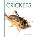 Crickets