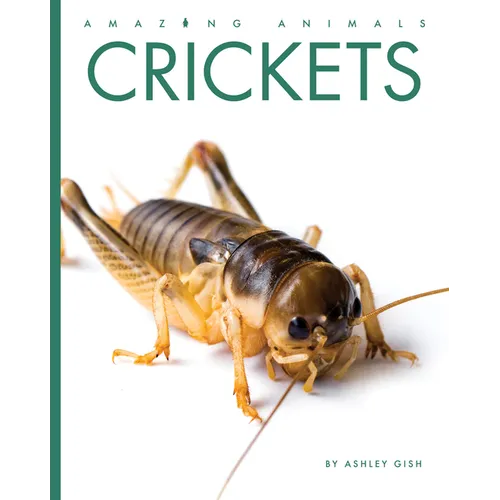 Crickets