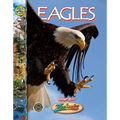 Eagles