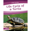 Life Cycle of a Turtle
