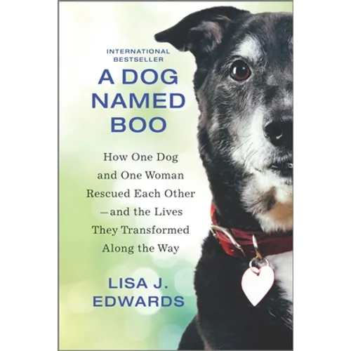 A Dog Named Boo: How One Dog and One Woman Rescued Each Other--And the Lives They Transformed Along the Way