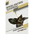 Jewel Orchid (Ludisia): Closed terrarium, Beginner's Guide