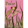 Pulse 2025-2026