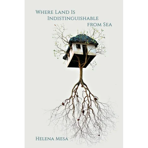 Where Land Is Indistinguishable from Sea