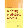 A History of Abstract Algebra: From Algebraic Equations to Modern Algebra