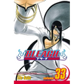 Bleach, Vol. 33