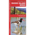 Rhode Island Birds: A Folding Pocket Guide to Familiar Species