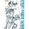 Street Fighter Gaiden, Volume 1