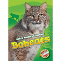 Bobcats