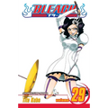 Bleach, Vol. 29: The Slashing Opera