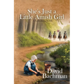 She's Just a Little Amish Girl: A Gettysburg Novel