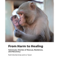 From Harm to Healing: Sanctuary Stories of Rescue, Resilience, and Recovery