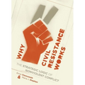 Why Civil Resistance Works: The Strategic Logic of Nonviolent Conflict