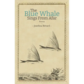 The Blue Whale Sings From Afar