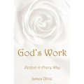 God's Work: Perfect in Every Way