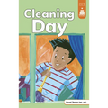 Cleaning Day
