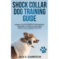 Shock Collar Dog Training Guide: Human E-collar Training Tips and Methods, Everything You Need to Know About Remote Collar Training for Dogs