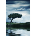 Unsettled