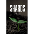 Shards of Solace