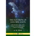 The Doctrine of Sanctification: Discerning real and false notions of Jesus Christ's Holiness