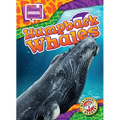 Humpback Whales