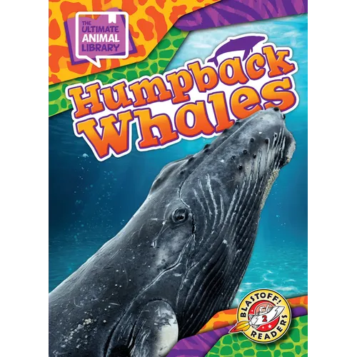 Humpback Whales