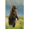 Artificial Bear Optimization (ABO): A New Approach of Metaheuristic Algorithm for Business Intelligence