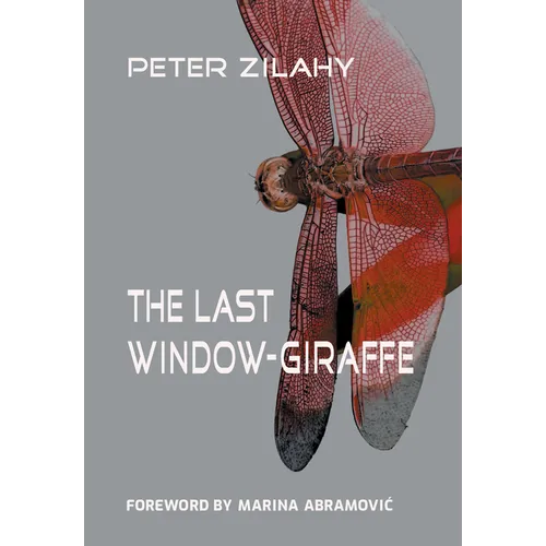 The Last Window-Giraffe