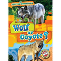 Wolf or Coyote?
