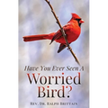 Have You Ever Seen A Worried Bird?