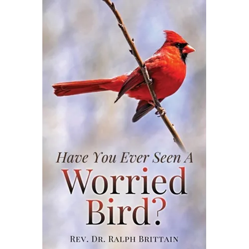 Have You Ever Seen A Worried Bird?
